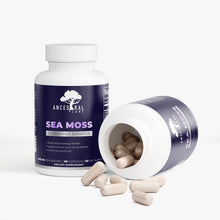 Load image into Gallery viewer, Organic Sea Moss with Bladderwrack and Burdock Root